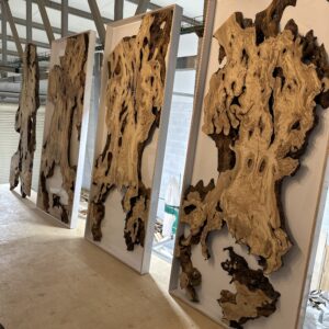 פלטות עץ זית 